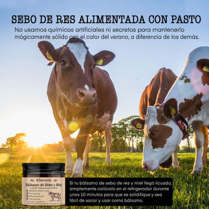 Klavoria™ | Bálsamo de Sebo & Miel Natural